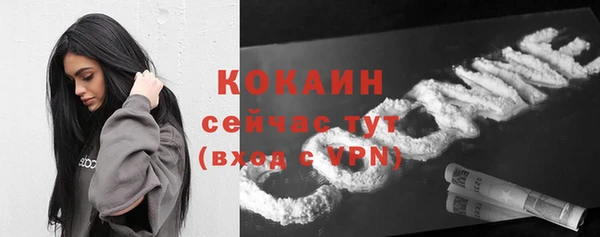 a pvp Магас