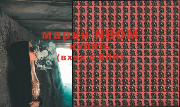 стафф Магадан