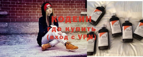 прущие грибы Волосово