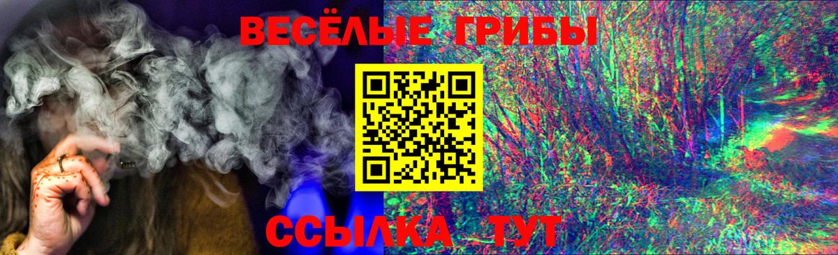 Тосно  Псилоцибиновые грибы Psilocybine cubensis  Вход с VPN 