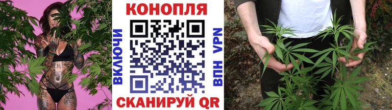 нарко площадка какой сайт Тосно МАРИХУАНА Bruce Banner
